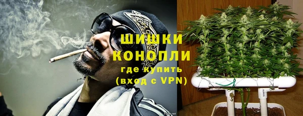 хмурый Вязьма