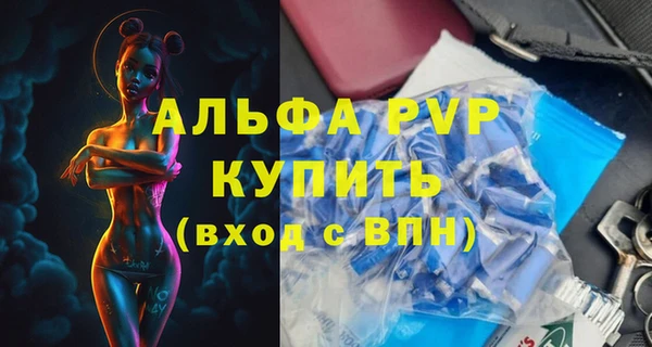 spice Вяземский