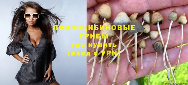 spice Вяземский