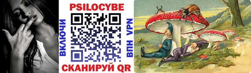 Псилоцибиновые грибы Cubensis  дарнет шоп  Ессентукская 