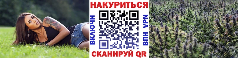 Бошки Шишки OG Kush Ессентукская